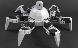 Hexapod 5 - Angelo & Nathaniel - May 31 (Facial recognition complete)
