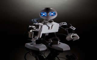 Humanoid robot