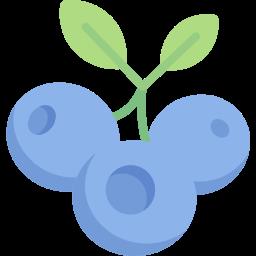EZB Server (Blueberry Server) For Raspberry Pi
