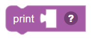 The Print / Display Text block