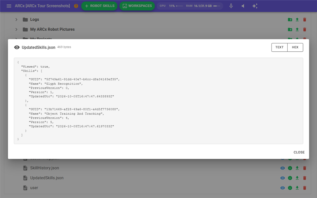 The file viewer showing a JSON file as text