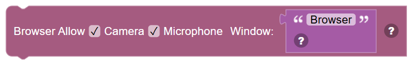 The Browser Allow Camera And Microphone block