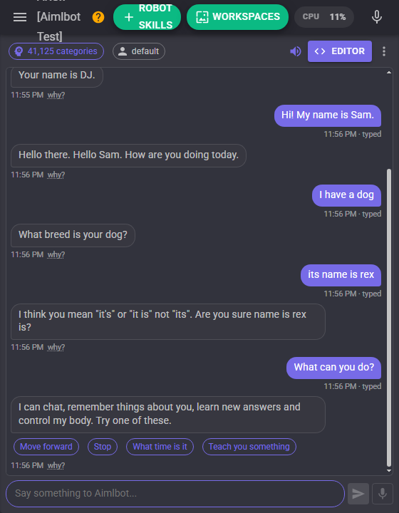 The chat window