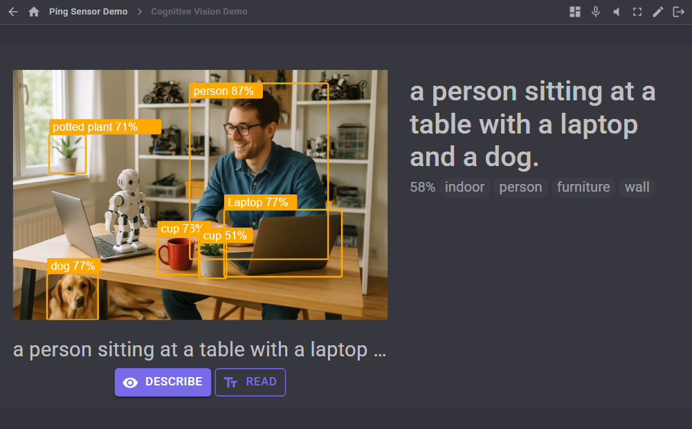 The What it sees and Description widgets