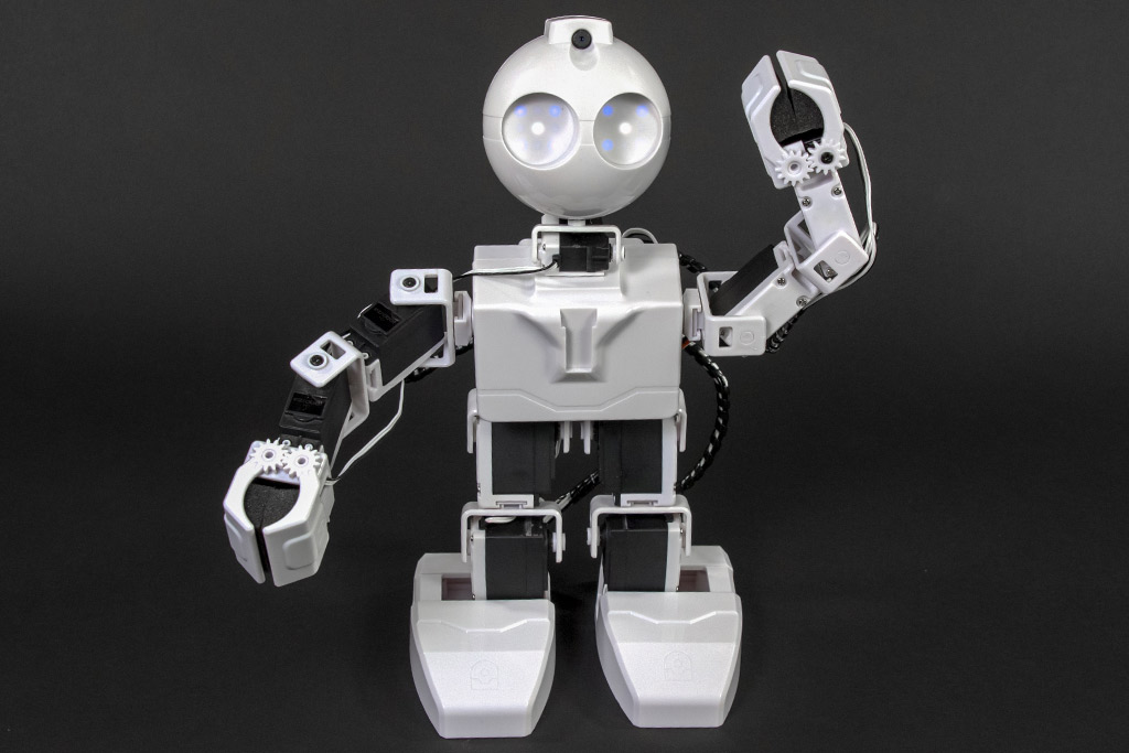 EZ-Robot JD Humanoid