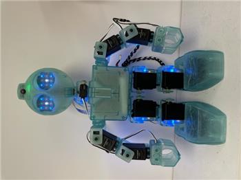 Best Printer To 3D Print EZ-Robot Parts