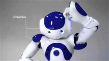 The Nao Robot
