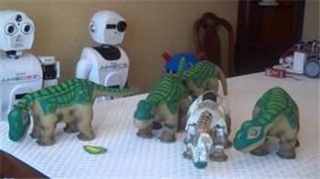 My Herd Of Baby Robotic Dinosaurs