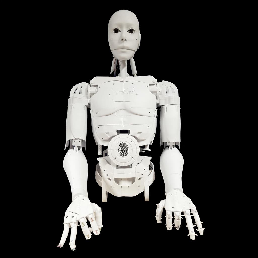 Tonzatonka's Inmoov 3D Printed Robot